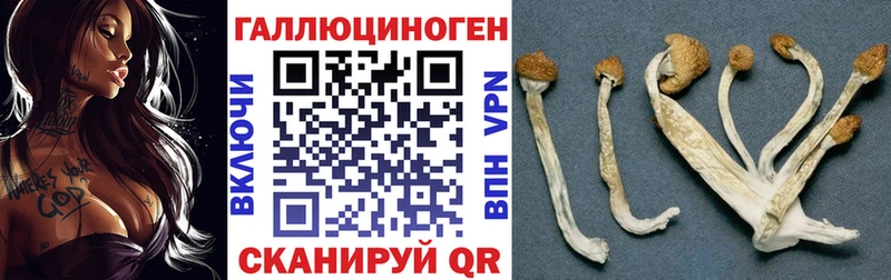 Псилоцибиновые грибы Cubensis  Купить где  Иноземцево 